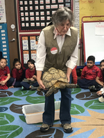 Tortoise Time